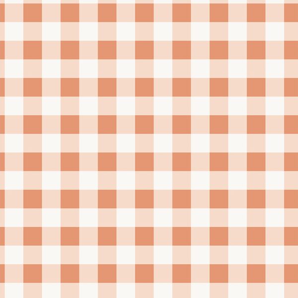 Gingham in Coral Pink