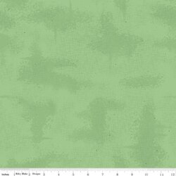 Shabby in Green
