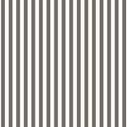 Dress Stripe in Stone