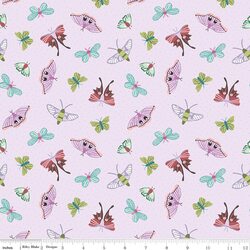 Moths in Lavender