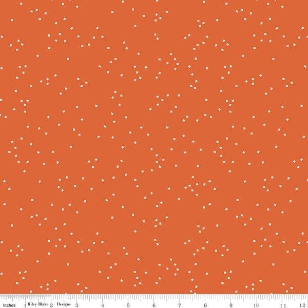 Blossom in Orange