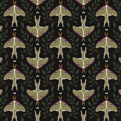 Mystical Moths in Midnight