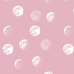 Moondance in Carnation