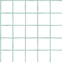 Windowpane in Aspen on White