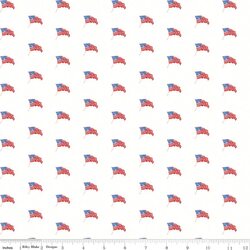 USA Flags in White
