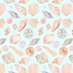 Seashells in Pacific
