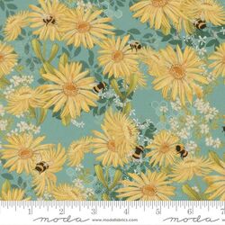 Daisies in Pond