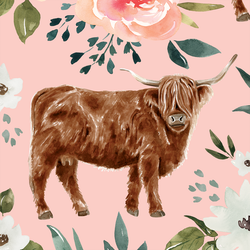 Large Highland Cow in Pink
