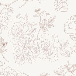 Large Garden Beauty in Mauve Blush