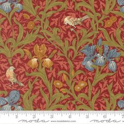 Iris in Russet