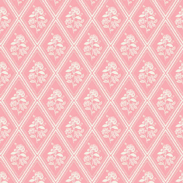 Rose Study in Pink