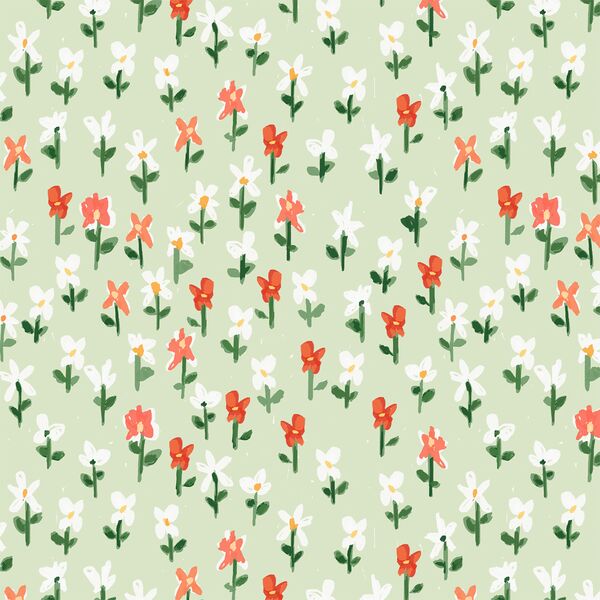 Poppy Meadow in Grassy