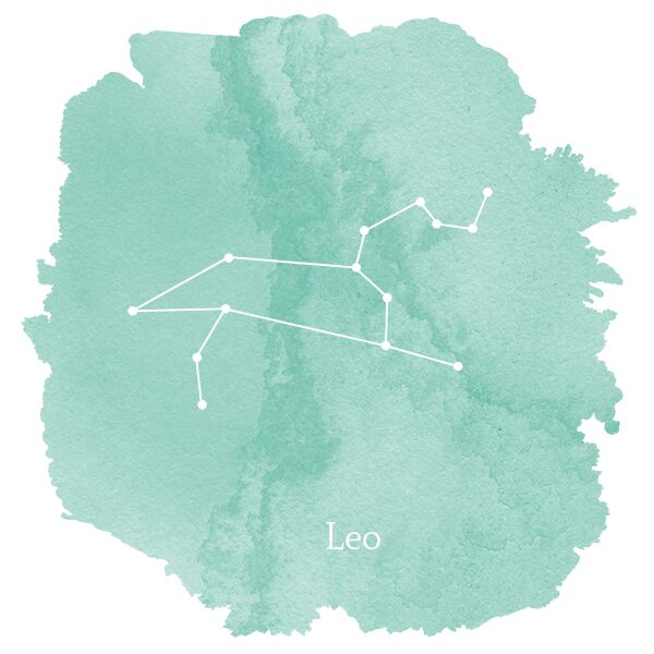 Leo Sign Panel in Succulent