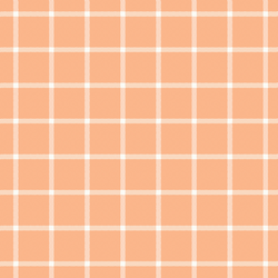 Window Check in Rose