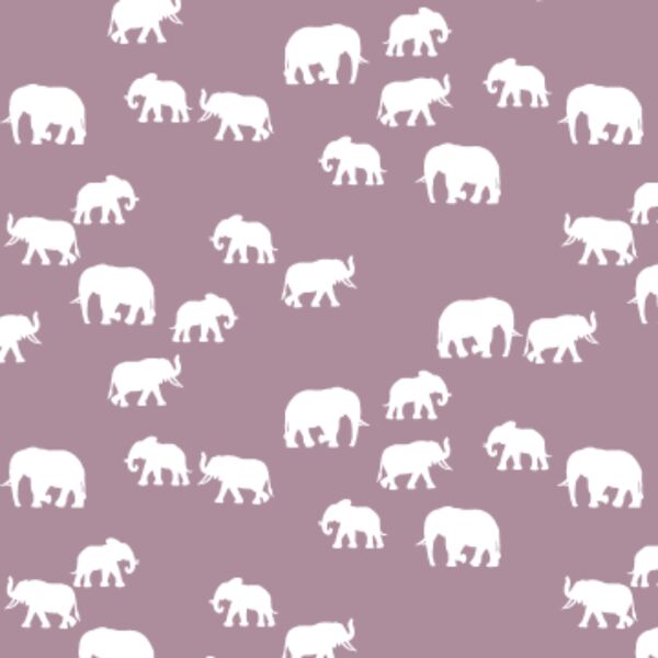 Elephant Silhouette in Celestial