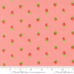 Berries in Blush