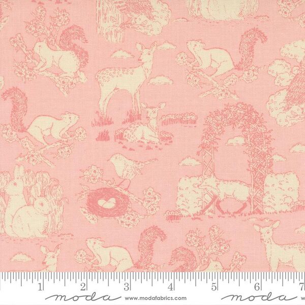 Garden Toile in Petal