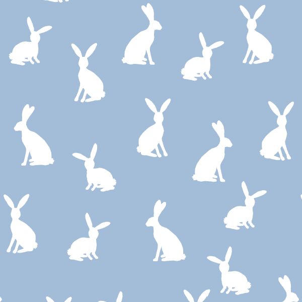 Cottontail Silhouette in Water