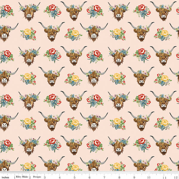 Highland Cows in Blush