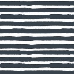 Large Painted Stripe in Midnight Sky