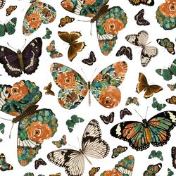 Autumn Butterfly in White
