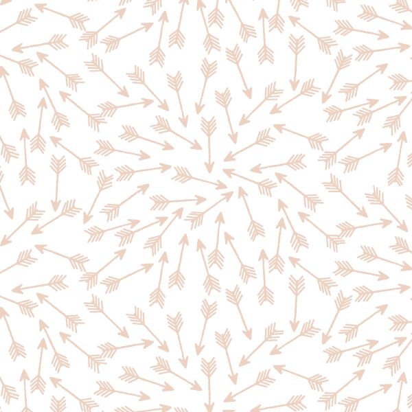 Arrows in Shell on White