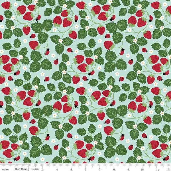 Strawberries in Blue