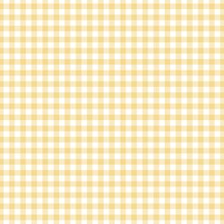 Summer Gingham in Afternoon Sunshine
