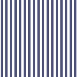 Dress Stripe in Indigo