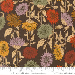 Sunflower Field in Coffee