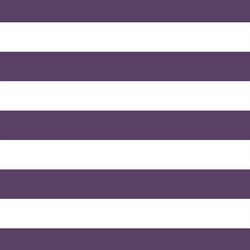 Horizontal Play Stripe in Aubergine