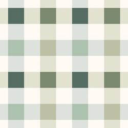 Large Irish Gingham in Lucky Day