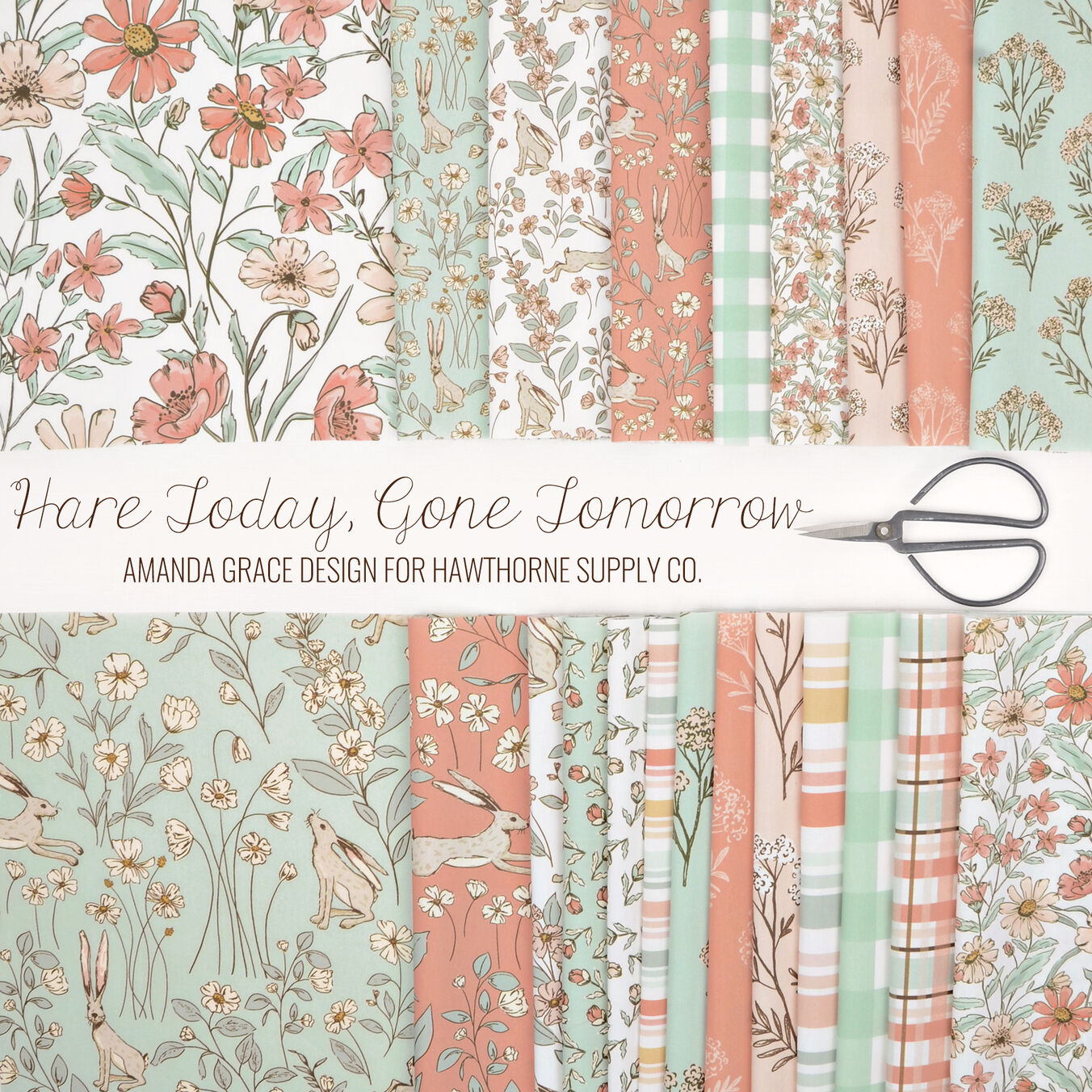 Hare Today, Gone Tomorrow Poster Image