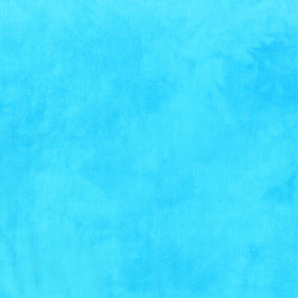 Palette in Curacao
