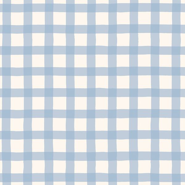 Gingham in Baby Blue
