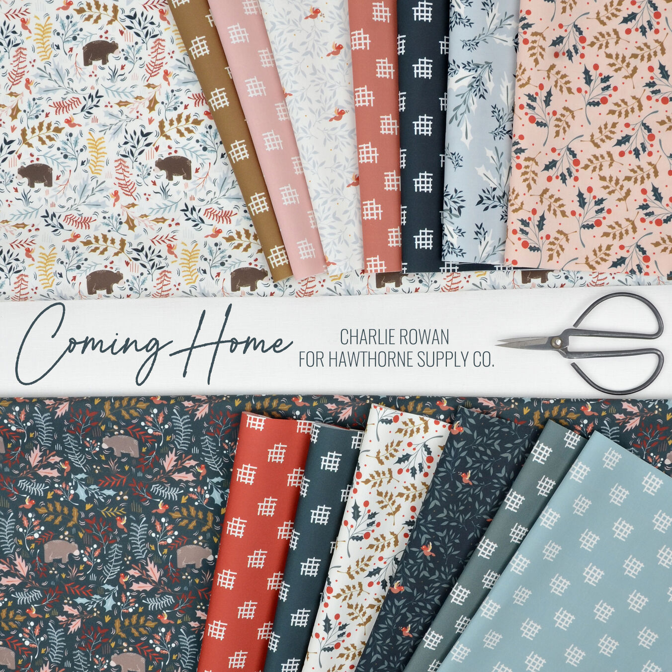 Coming Home Poster Image