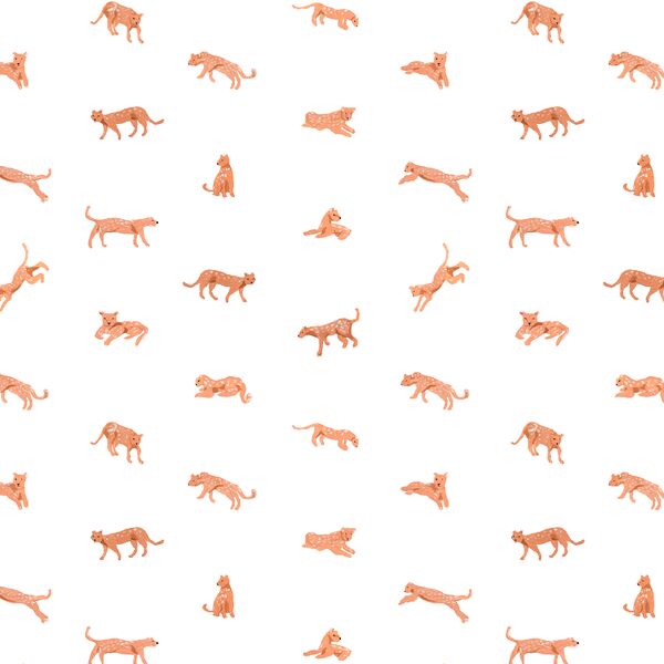 Leopards in Savanna