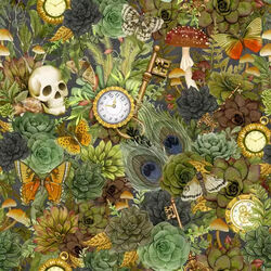 Packed Succulents in Multi