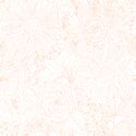 Paperie in Peachy Ember on White