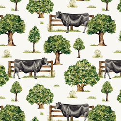 Black Angus Cow in Cream