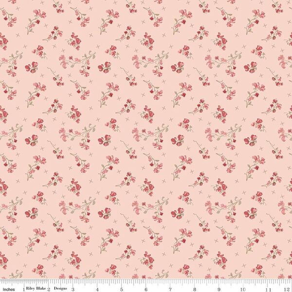 Sweet Pea in Pink