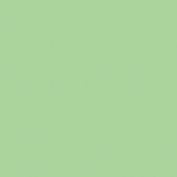 Pure Solid in Pistachio Creme