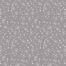 Starry in Silver Moon