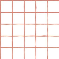 Windowpane in Desert Rose on White