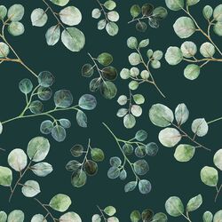 Eucalyptus Leaf in Deep Glade