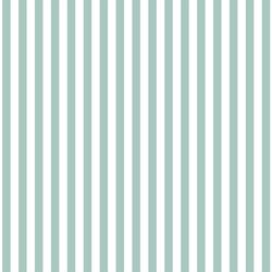 Dress Stripe in Aspen