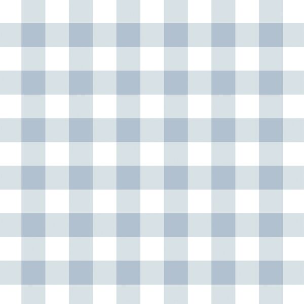 Meadow Gingham in Clear Blue