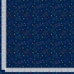 Felis in Navy