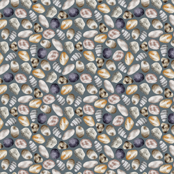 Pebbles in Ocean