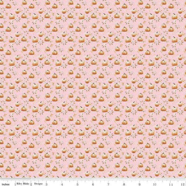 Pumpkin in Blush